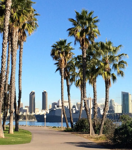 tidelands-park-dog-friendly-coronado