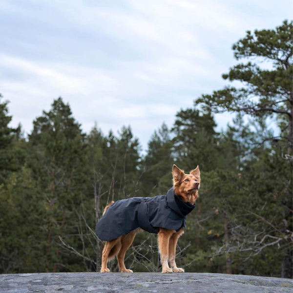 PAIKKA Hundebekleidung Funktionalität &amp; Design PetCrew®