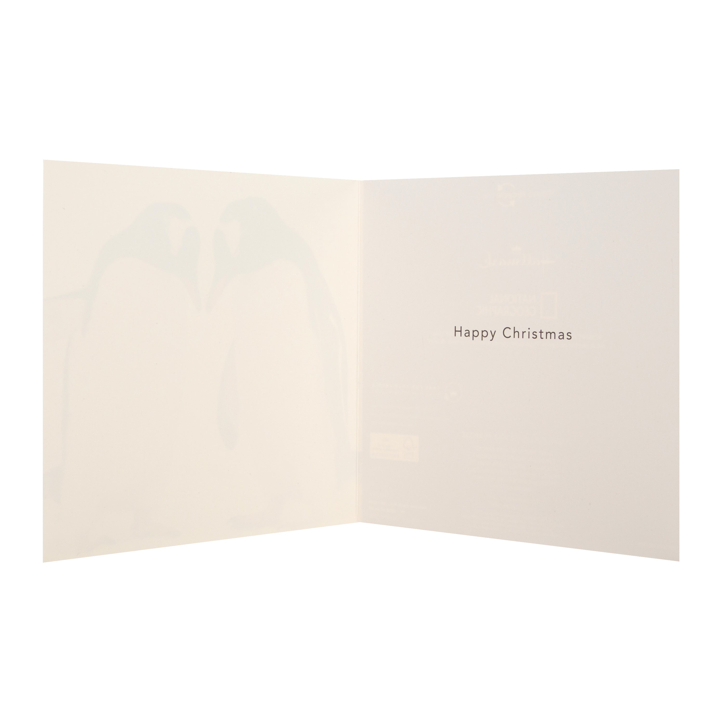 Christmas Cards Pack of 16 in 2 Bear and Penguin National Geographic