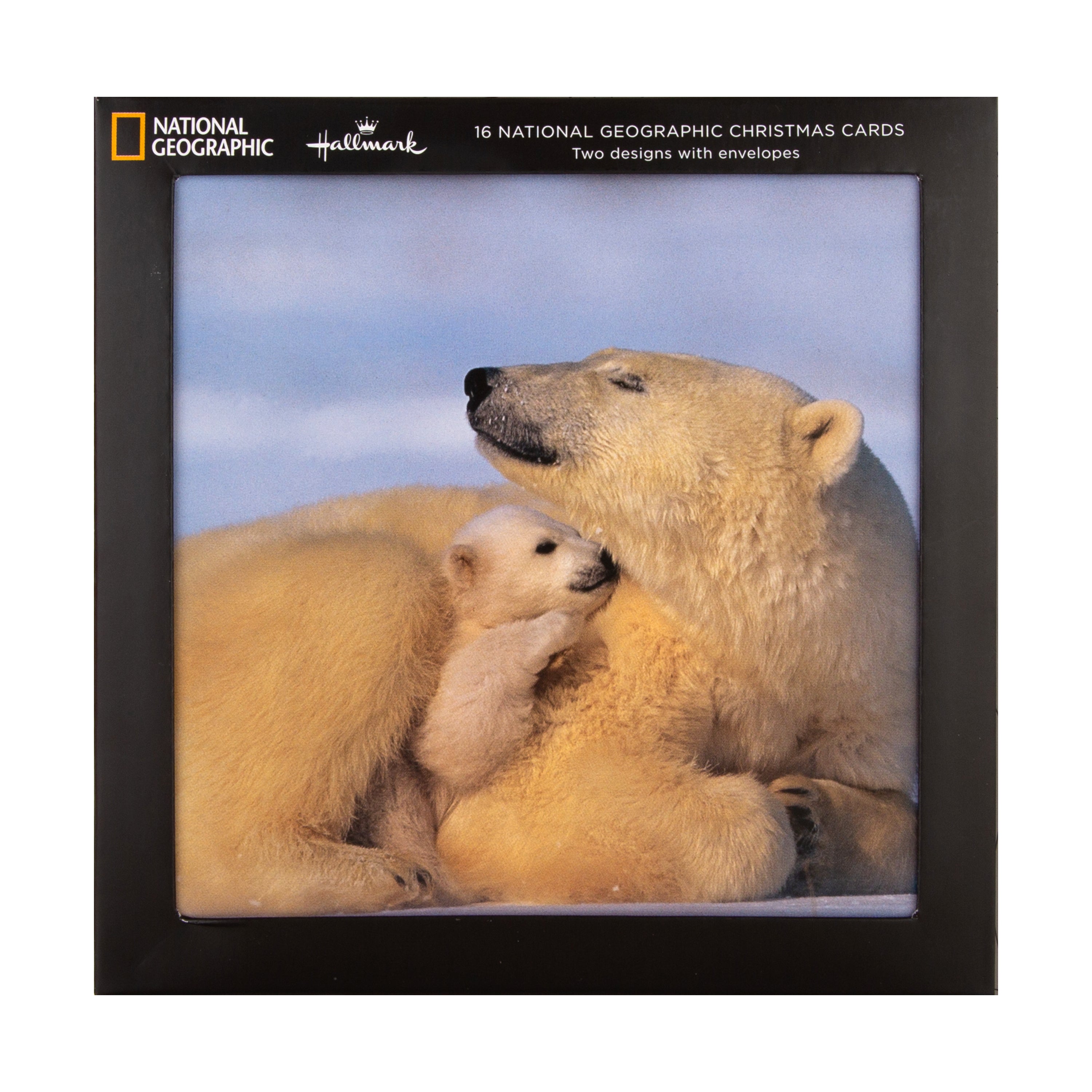 Christmas Cards Pack of 16 in 2 Bear and Penguin National Geographic