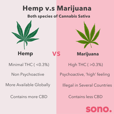 Hemp vs Marijuana infographic