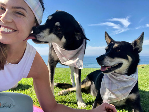 Gina with her 2 Australian kelpies (the twin kelpies) in San Diego- DOGUE