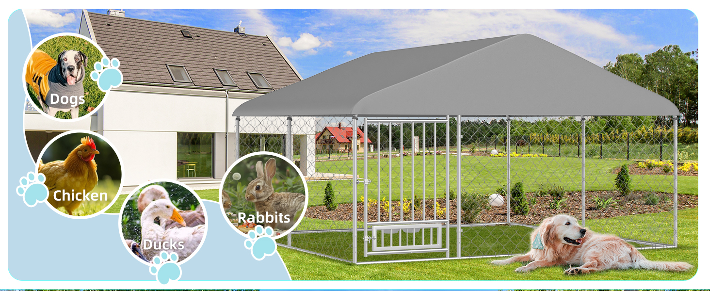 10x10-dog-kennel