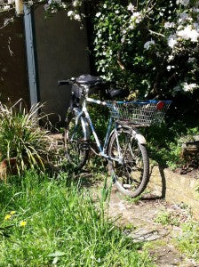 Pookie's bicycle in the garden