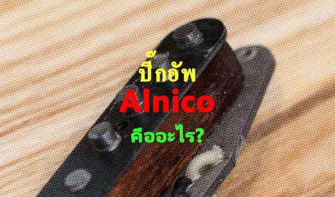 ปิ๊กอัพ ALNICO คืออะไร?