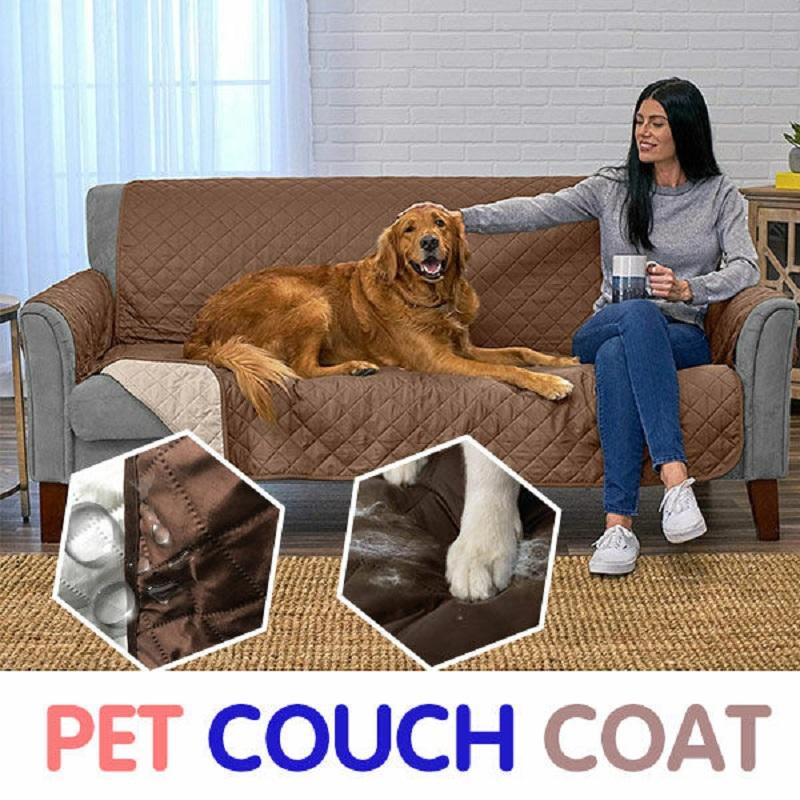 pet resistant sofa