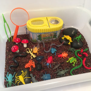 Bug and reptile sensory box