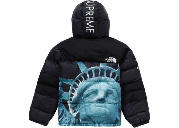 supreme north face world jacket