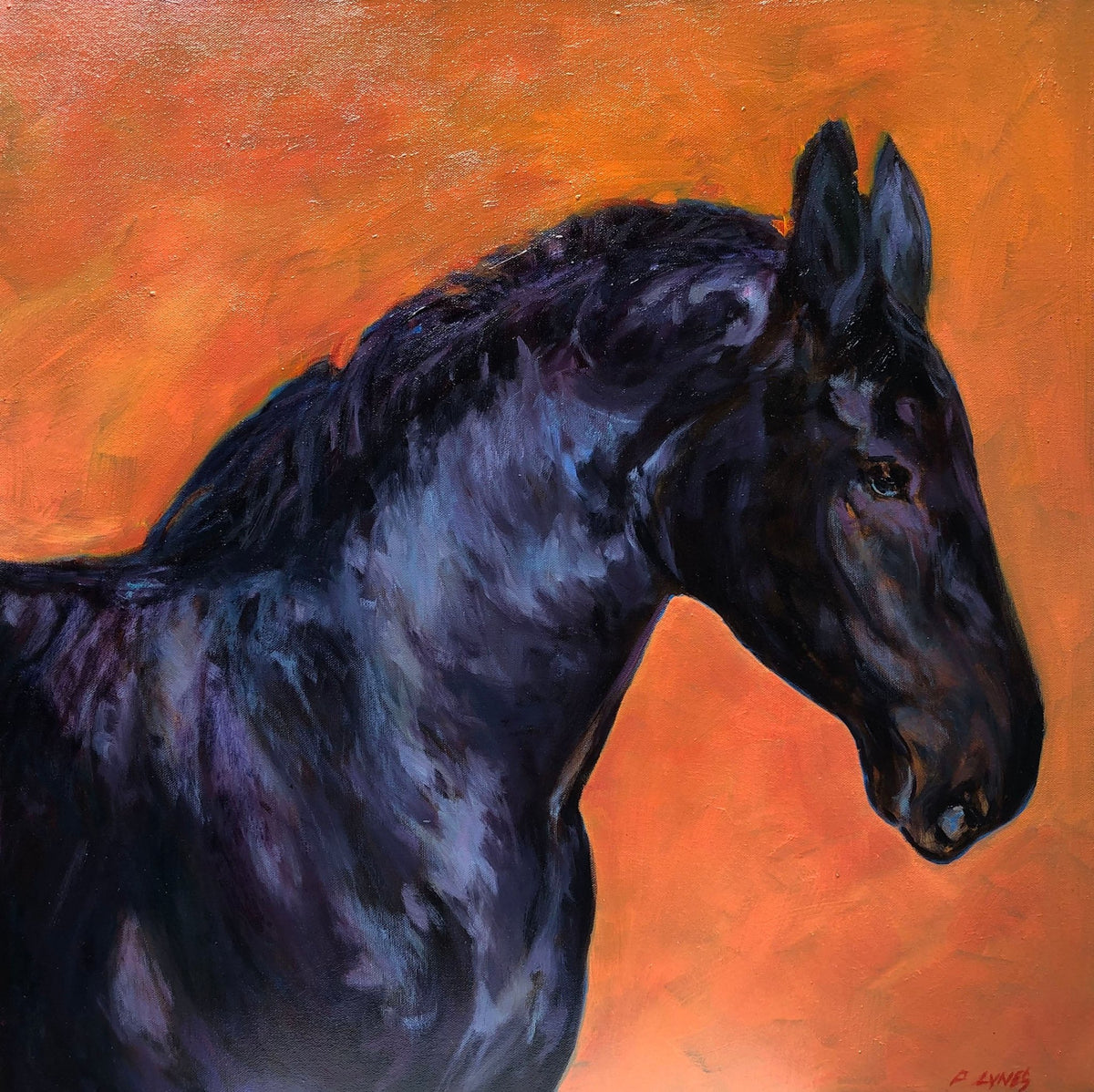 Black Horse — Artfest Ontario