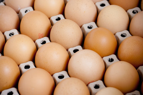 Organic Eggs in packaging