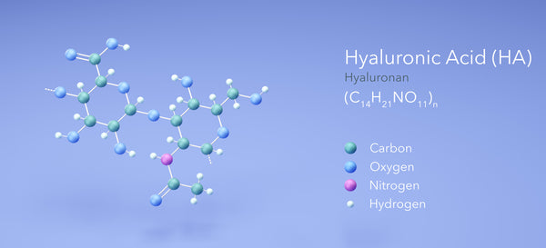 Aufbau und Struktur eines Hyaluronsäure-Moleküls