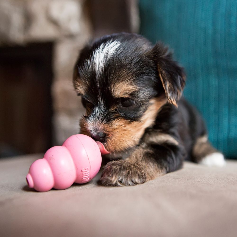 dog toy with puppies inside