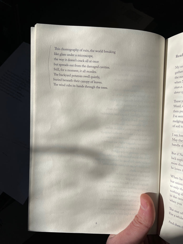 Saturn's Rings poem in book Like a Beggar by Ellen Bass pg 2