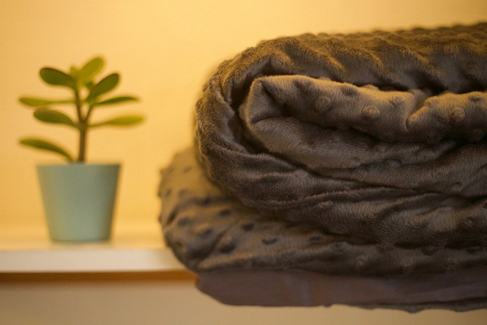 A photo of the Aurora weighted blanket next to a plant