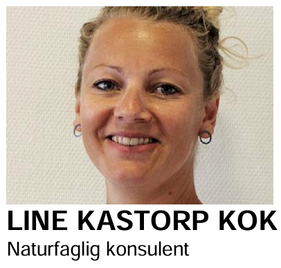 Line Kastorp Kok