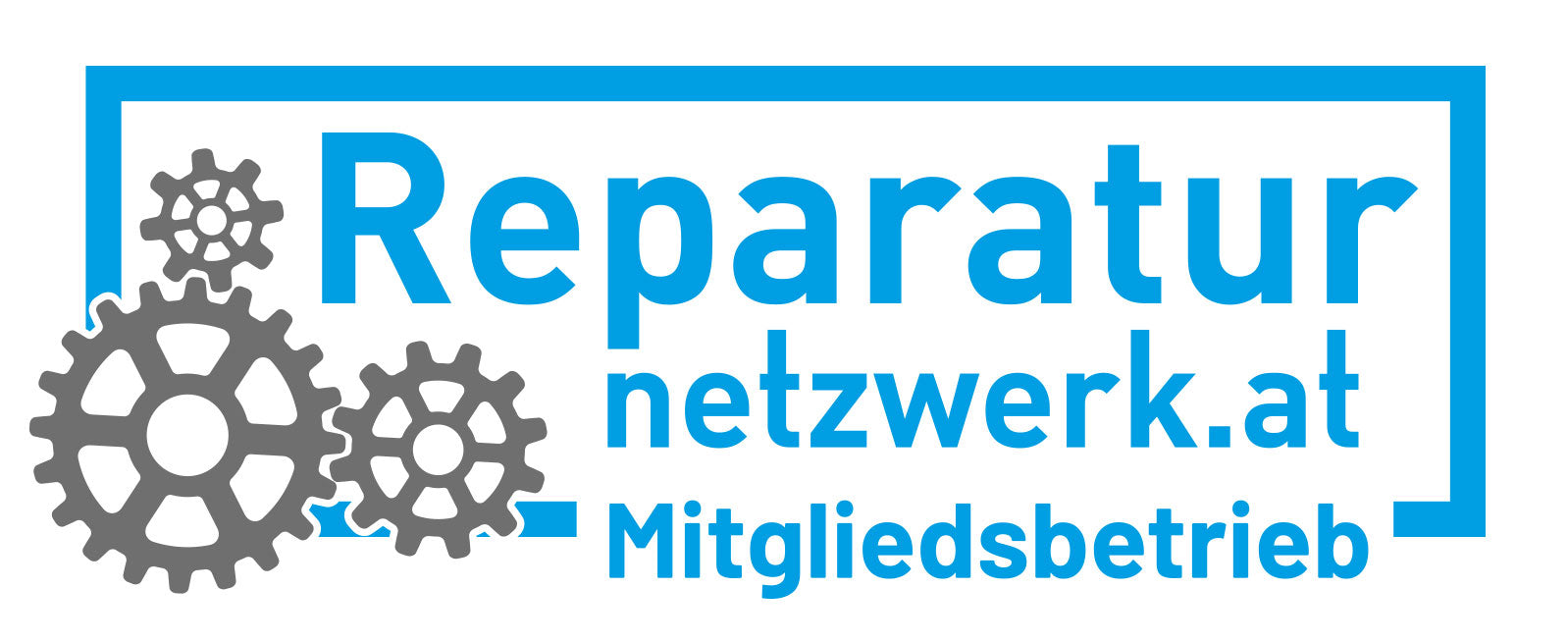 Reparaturnetzwerk