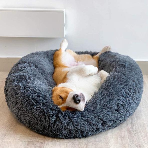 the calming pet bed