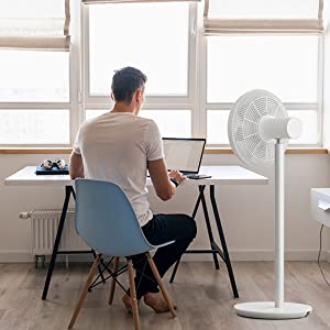 Smartmi Standing Oscillating Pedestal Fan 2S, DC Motor Quiet Fans