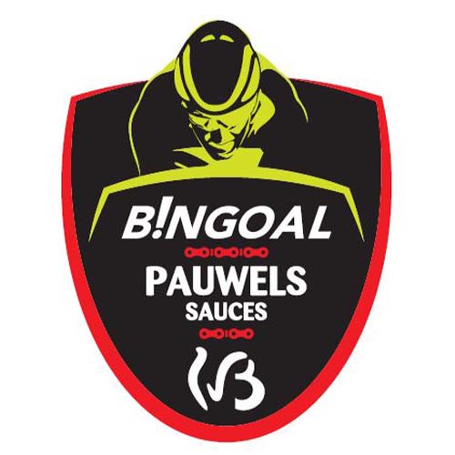 team logo