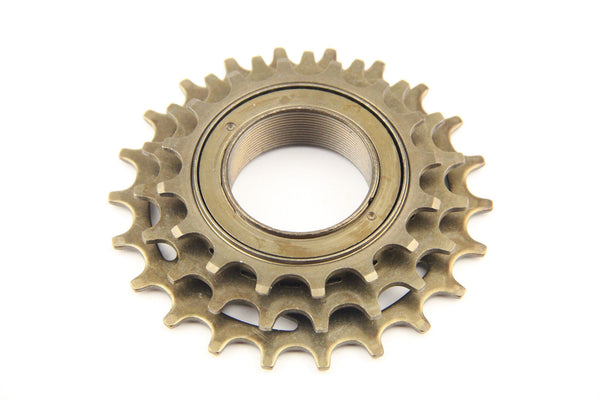 3 speed freewheel