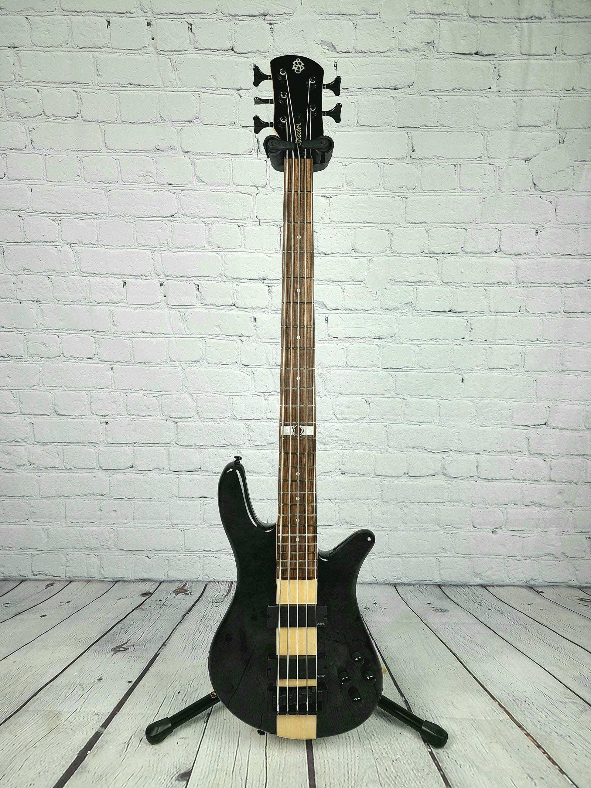 dan briggs spector bass