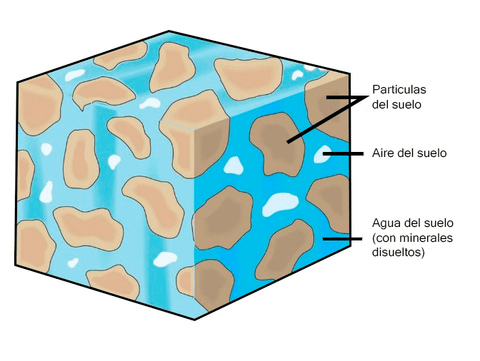 espacio-poroso-en-el-suelo-húmedo