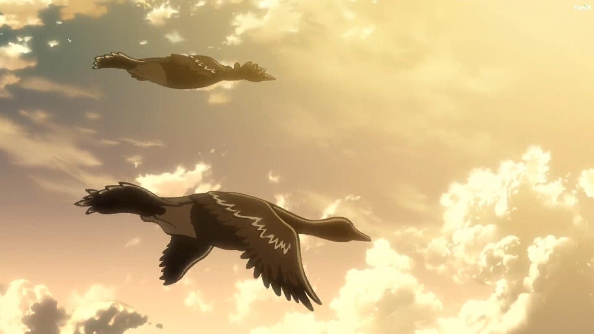 Attack On Titan Anime Vs Manga Birds