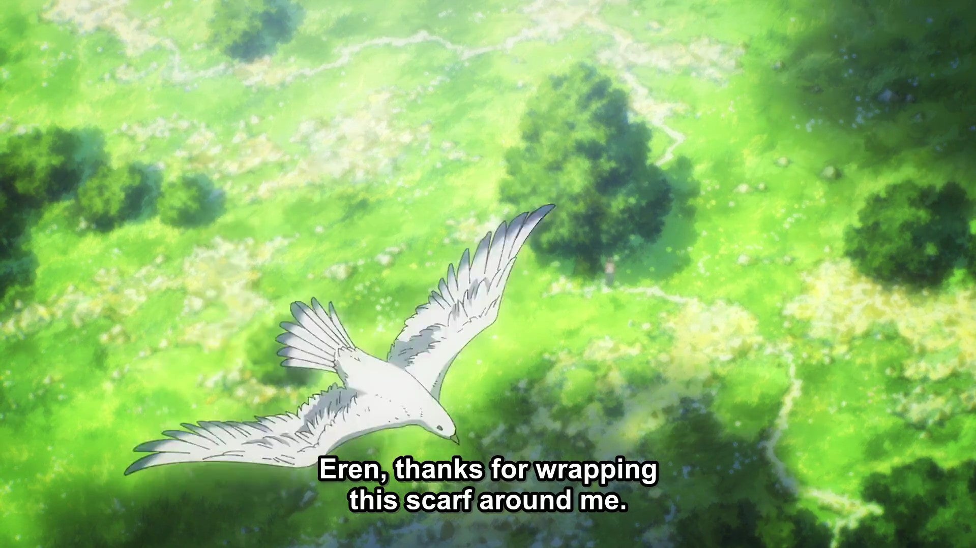 Attack On Titan Ending Mikasa Thanking Eren Reincarnated Bird