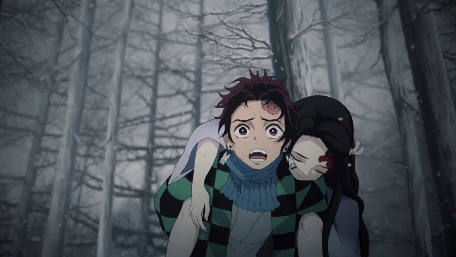 Demon Slayer Final Selection Arc Tanjiro Carrying Nezuko