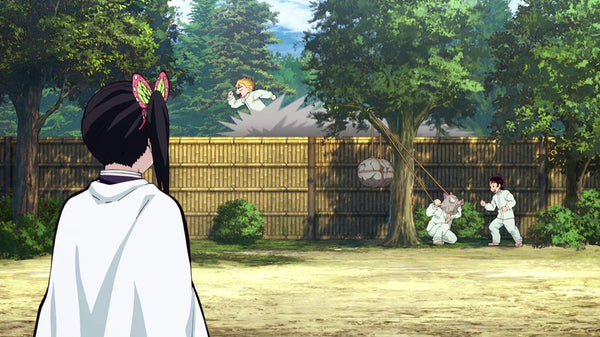Demon Slayer Inosuke Tanjiro Zenitsu Training At The Butterfly Mansion