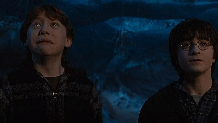 Harry Potter and the Chamber of Secrets Follow the Spiders
