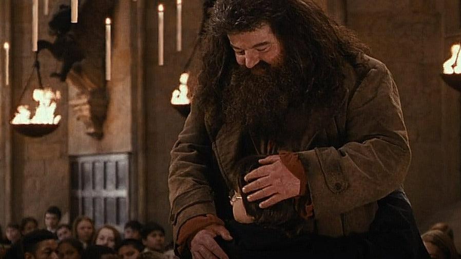 Harry Potter and the Chamber of Secrets Hagrid Hugging Harry