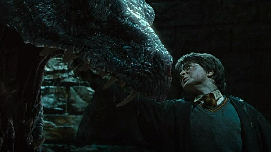 Harry Potter and the Chamber of Secrets Harry Killing Basilisk