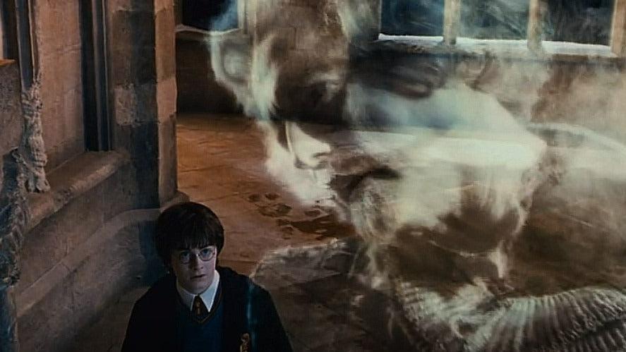 Harry Potter and the Chamber of Secrets Nearly Headless Nick