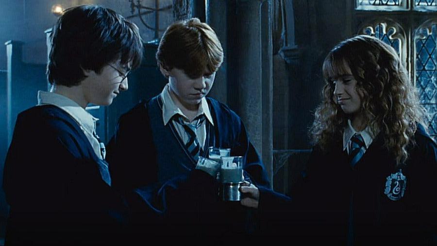 Harry Potter and the Chamber of Secrets Polyjuice Potion