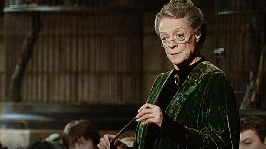 Harry Potter and the Chamber of Secrets Professor McGonagall