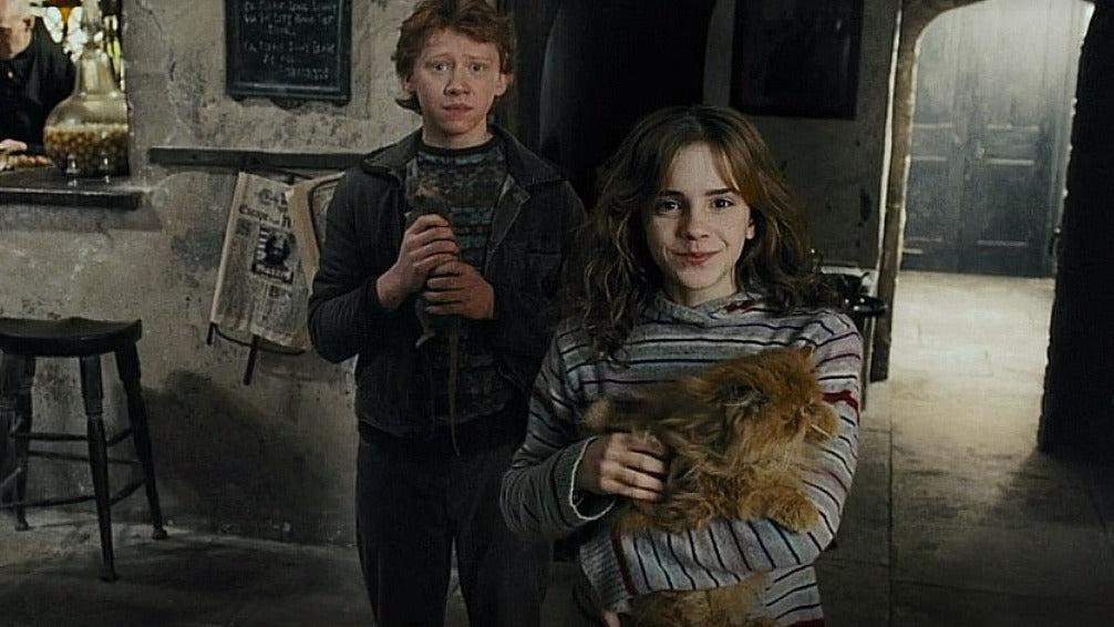 Harry Potter and the Prisoner of Azkaban Hermione Ron The Leaky Cauldron