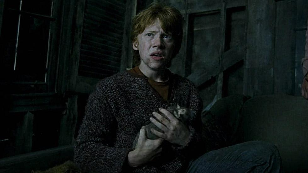 Harry Potter and the Prisoner of Azkaban Ron And Scabbers