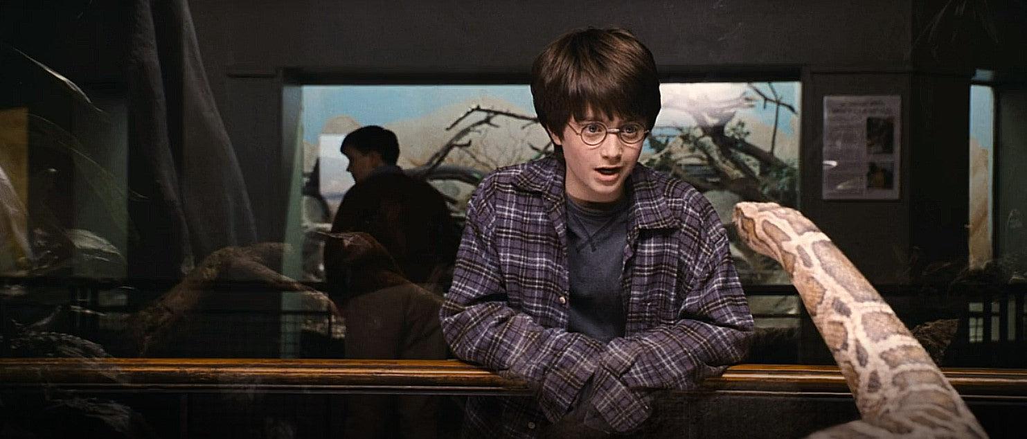 Harry Potter and the Sorcerer Stone Snake in the Zoo