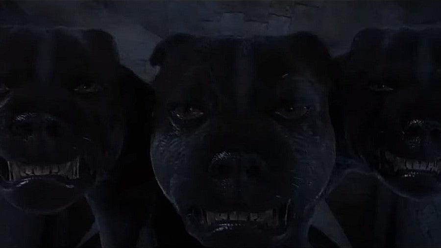 Harry Potter and the Sorcerer's Stone Three Headed Dog