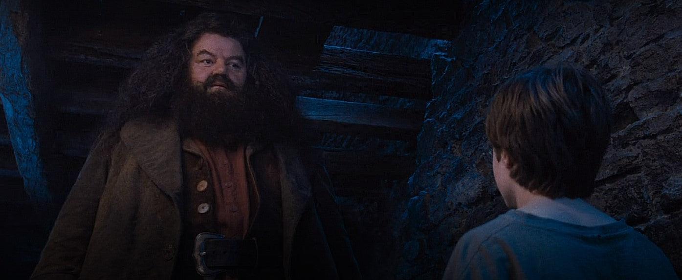 Harry Potter and the Sorcerers Stone Hagrid Appears The First Time
