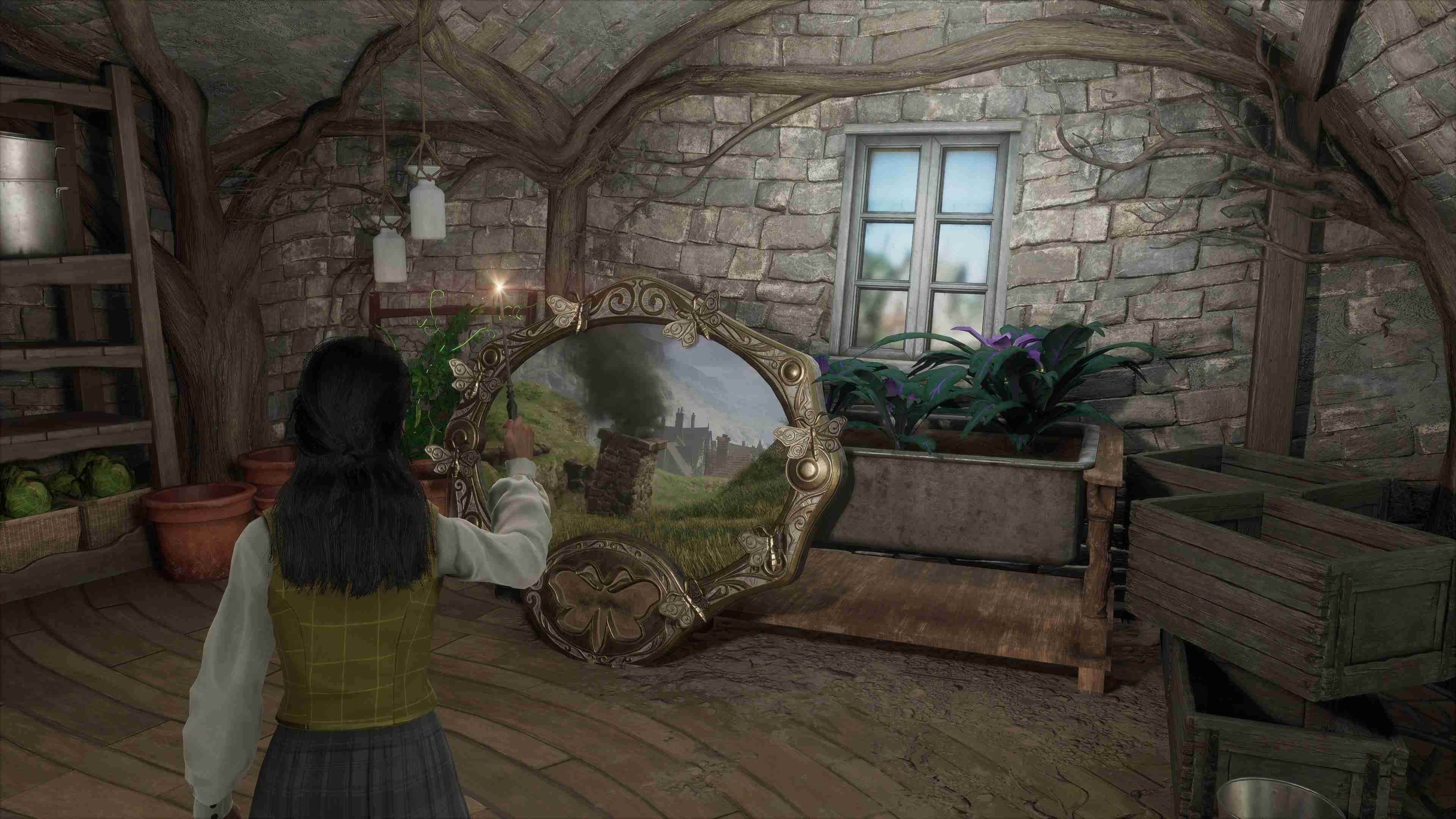 Hogwarts Legacy Moth Mirror Dogweed And Deathcap