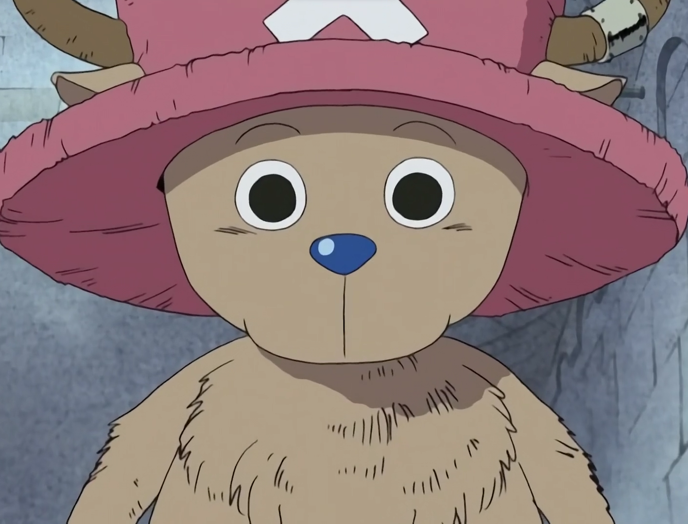 One Piece Chopper looks at Luffy with intrigue