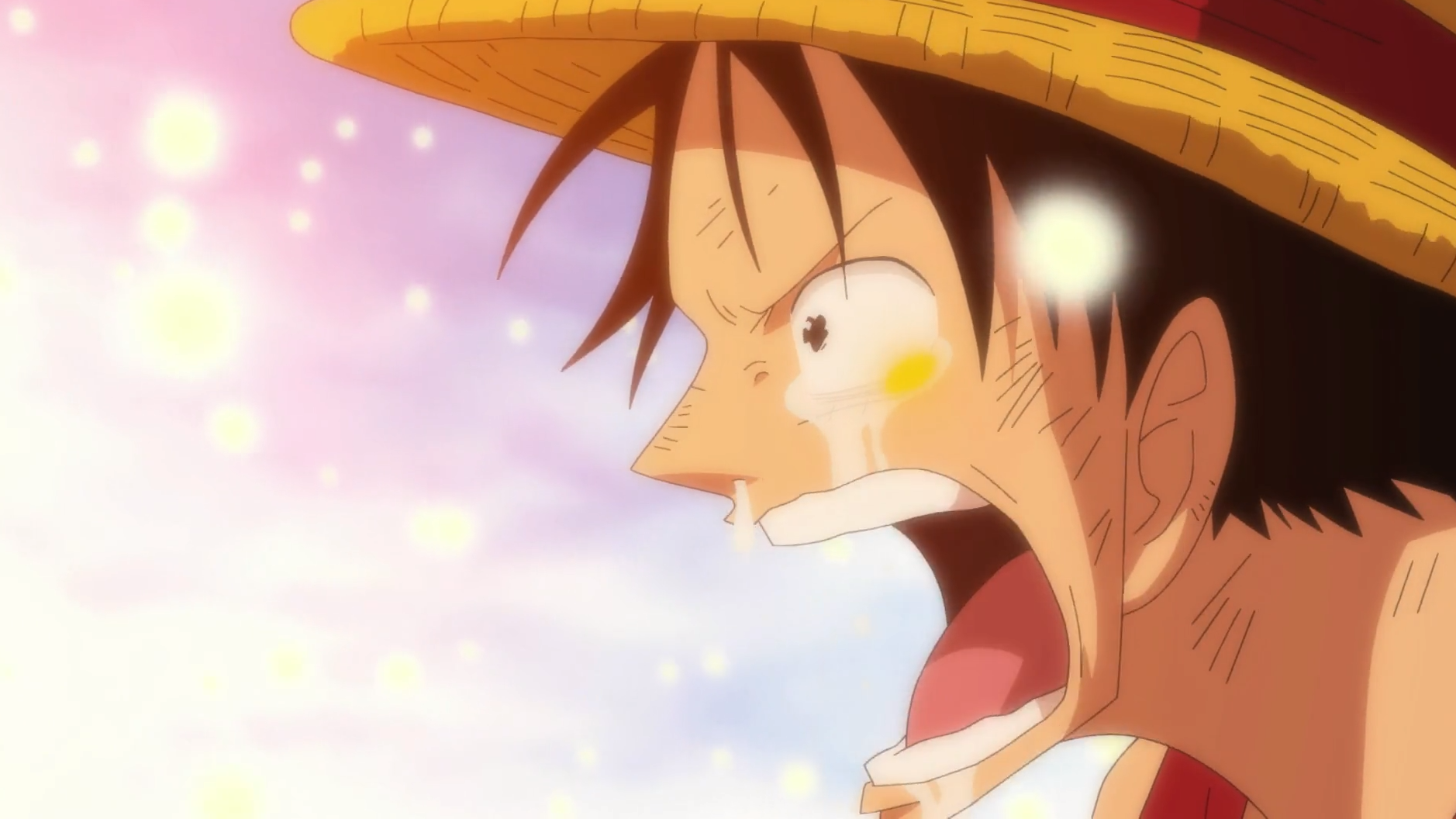 One Piece Enies Lobby Arc Luffy Cries for Merry