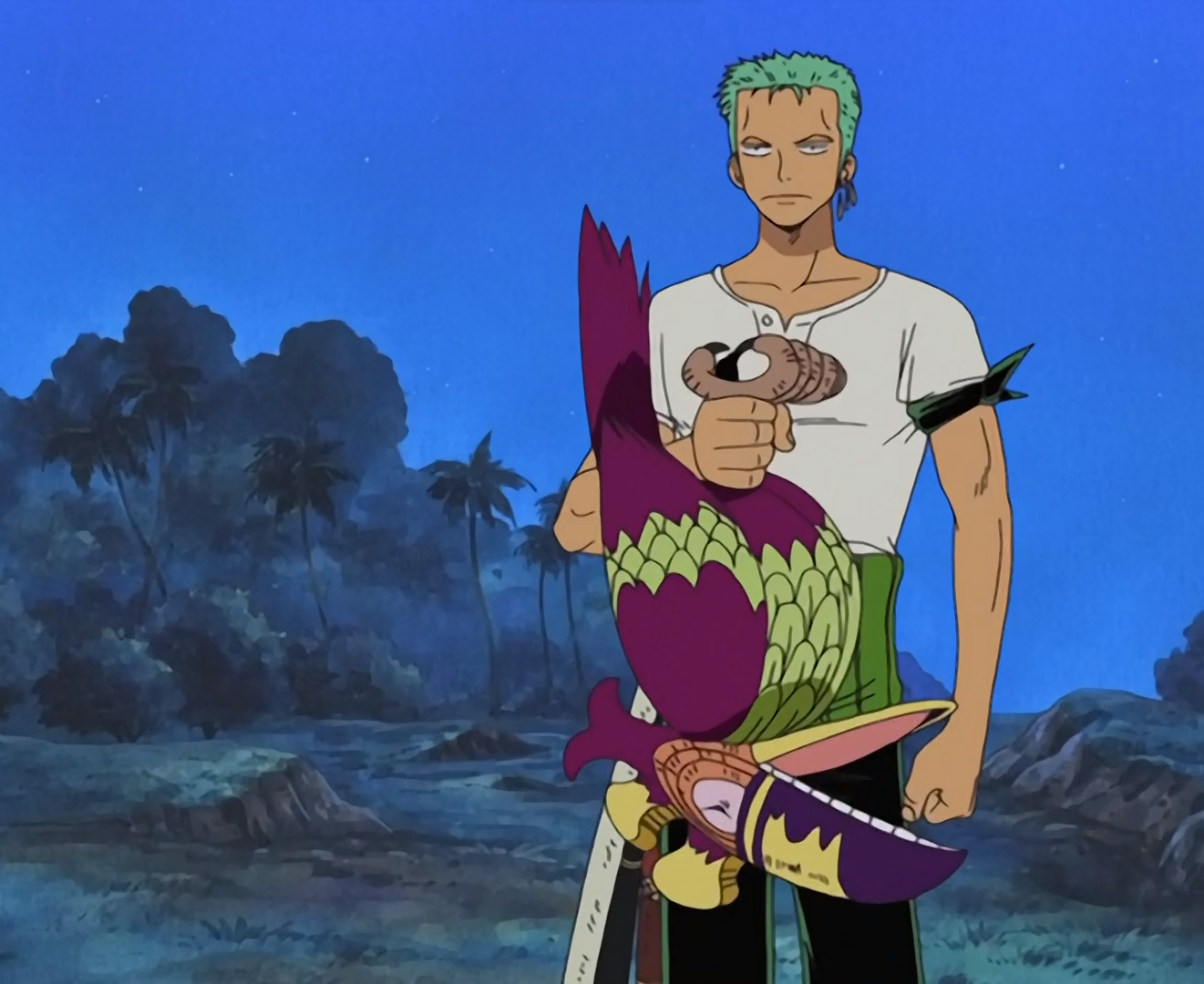 One Piece Jaya Island Arc Zoro holds the South Bird