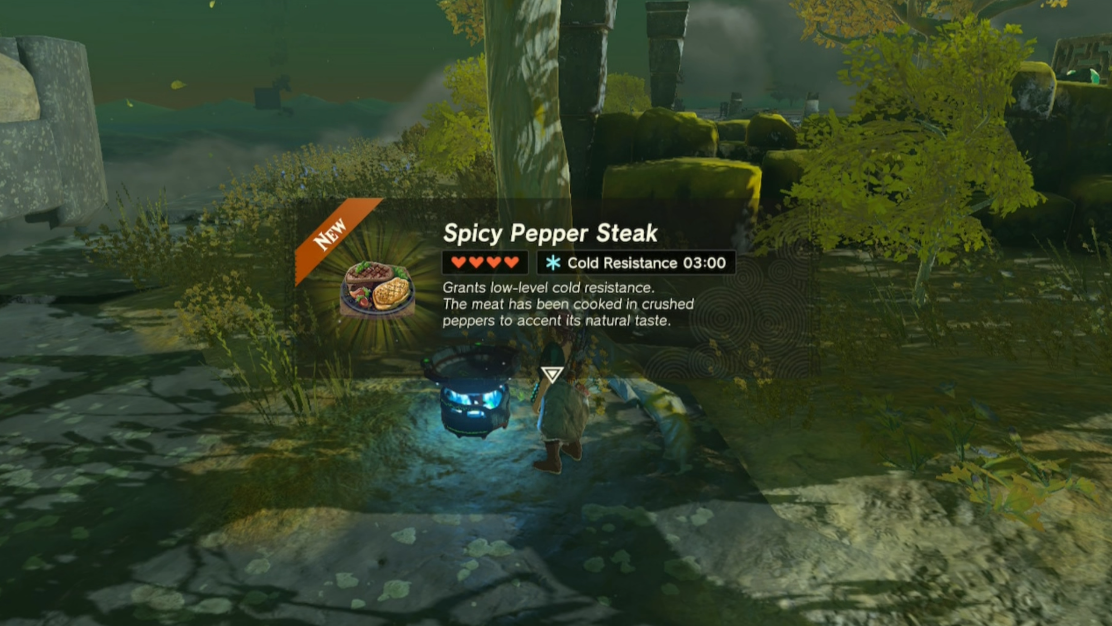 ToTK Recipes Spicy Pepper Steak