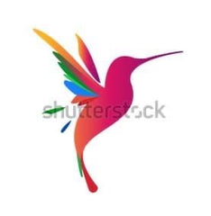 Shutterstock Image of the hummingbird used on the new flag of Martinique