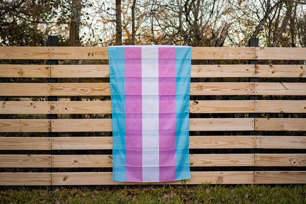 Transgender Pride Flag on a Fence