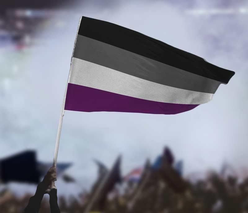 Asexual Ace Pride Flag Flags For Good