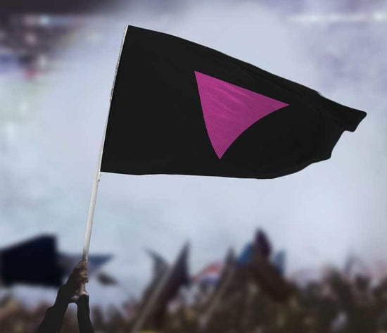 Pink Triangle Lgbt Pride Flag Flags For Good 5386